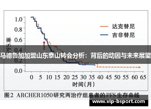 马德鲁加加盟山东泰山转会分析：背后的动因与未来展望